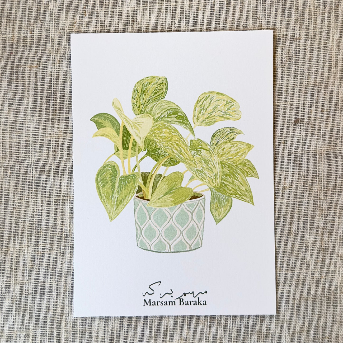 Marsam Plant Illustrated Postcard